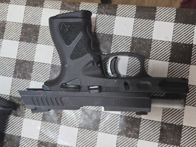 Potência e Confiabilidade: Taurus TH .40 com RM Ativo