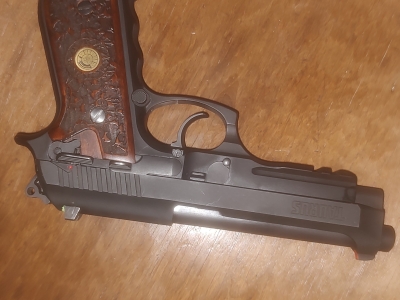 Pt100 AF-D .40S&W (teneferizada)